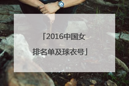 2016中国女排名单及球衣号