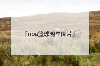 「nba篮球明星图片」nba篮球明星图片科比