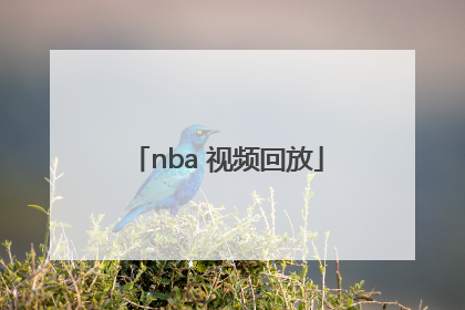 「nba 视频回放」NBA视频回放软件