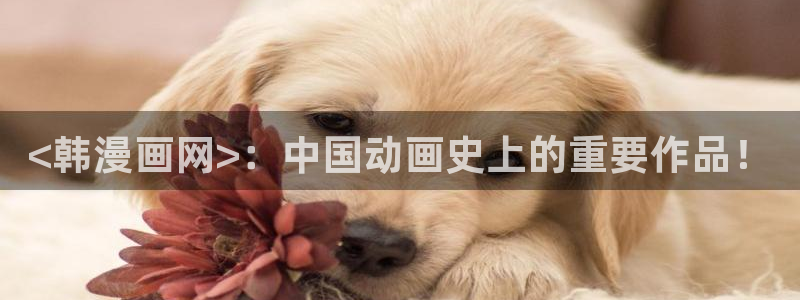 虫虫视频漫画：<韩漫画网>：中国动画史上的重要作品！