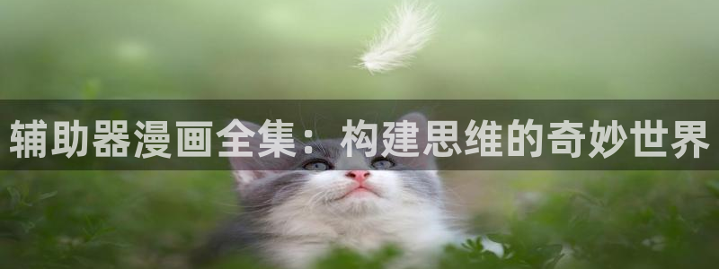 虫虫漫画免费漫画网站：辅助器漫画全集：构建思维的奇妙世界