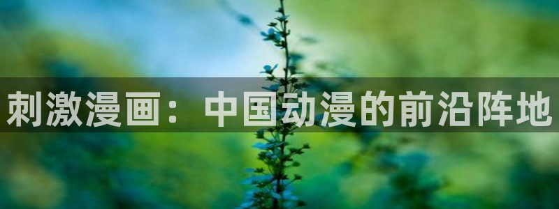 搞笑虫虫动画片全集：刺激漫画：中国动漫的前沿阵地