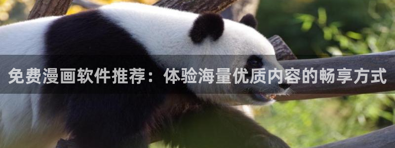 虫虫漫画官网页面免费漫画入口：免费漫画软件推荐：体验海量优质内容的畅享方式