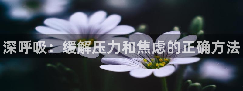 虫虫虫虫漫画：深呼吸：缓解压力和焦虑的正确方法