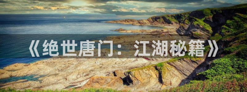 虫虫漫画在线网站：《绝世唐门：江湖秘籍》